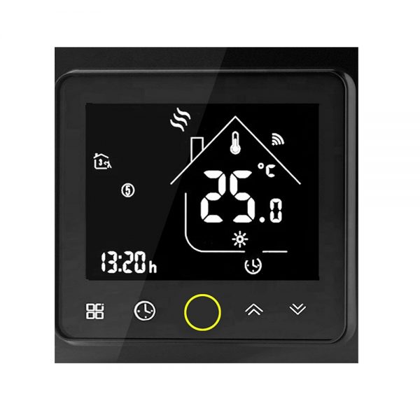 temperature controller with timer